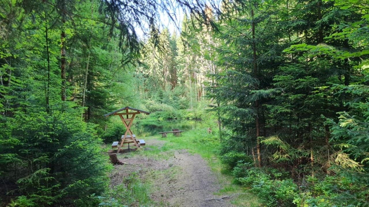 Pension Wernesgruen Bagian luar foto