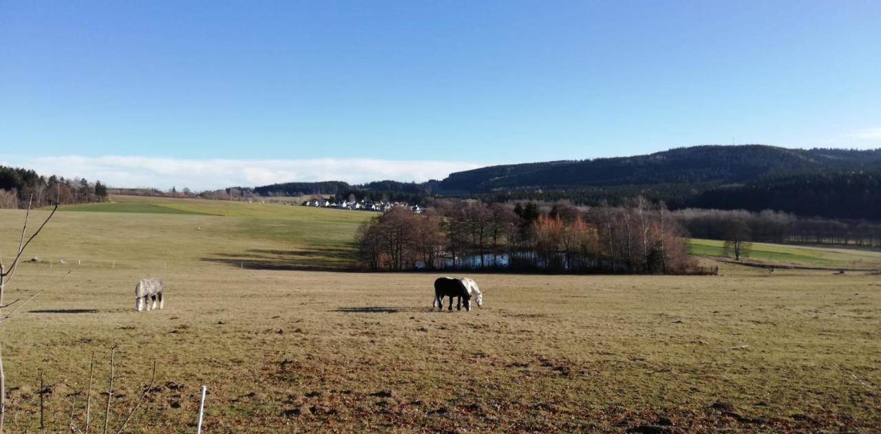 Pension Wernesgruen Bagian luar foto