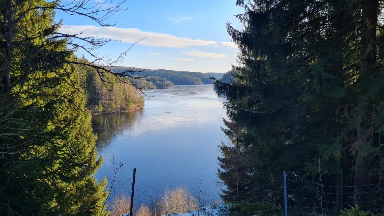 Pension Wernesgruen Bagian luar foto