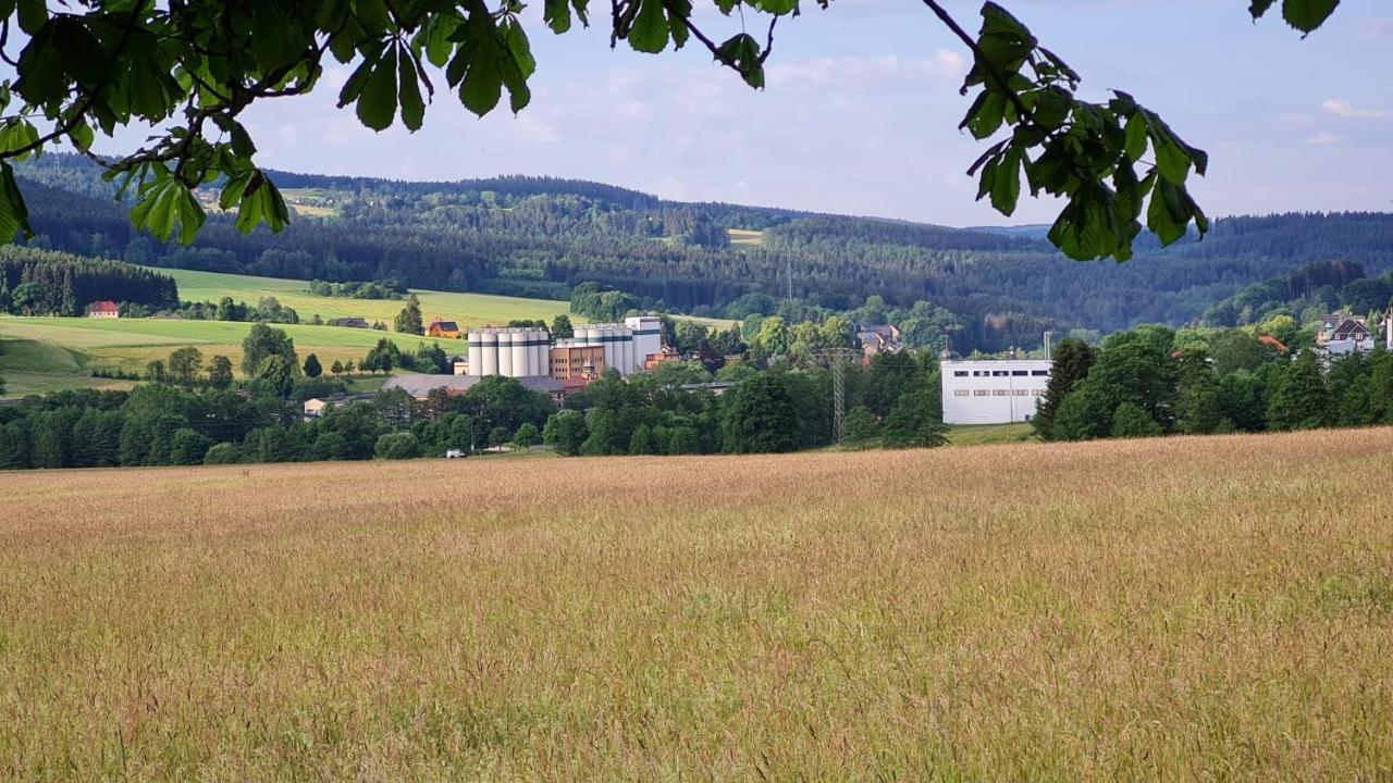 Pension Wernesgruen Bagian luar foto